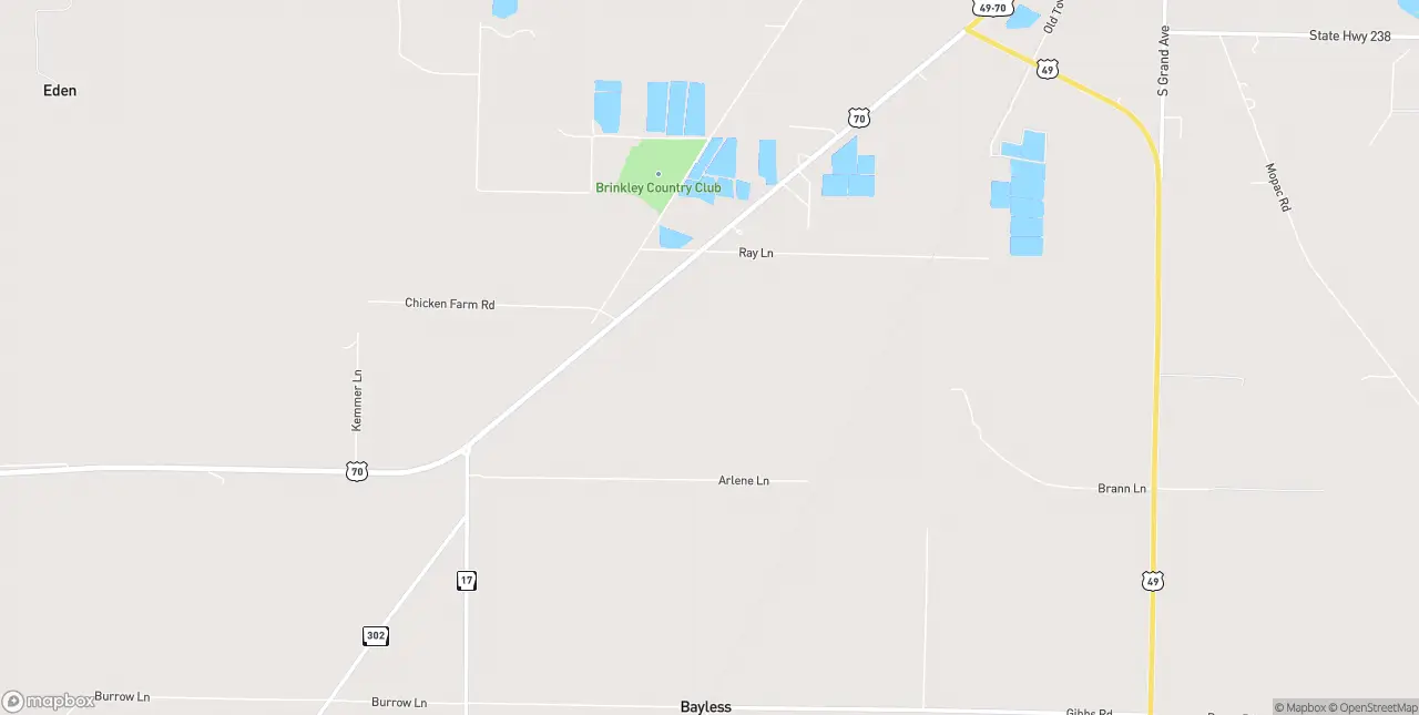 Internet in Brinkley