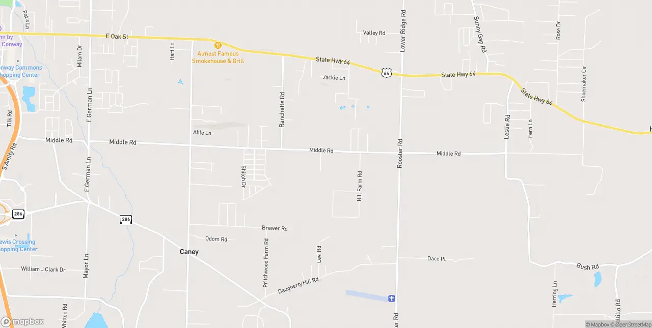 Internet in Conway
