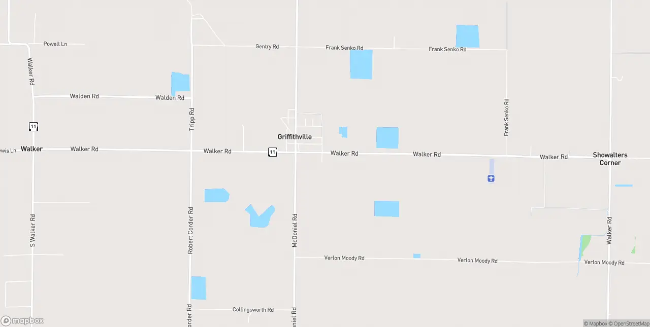 Internet in Griffithville