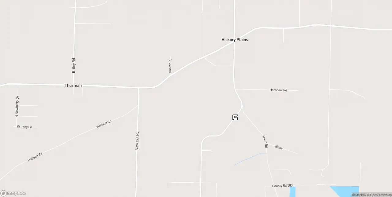 Internet in Hickory Plains