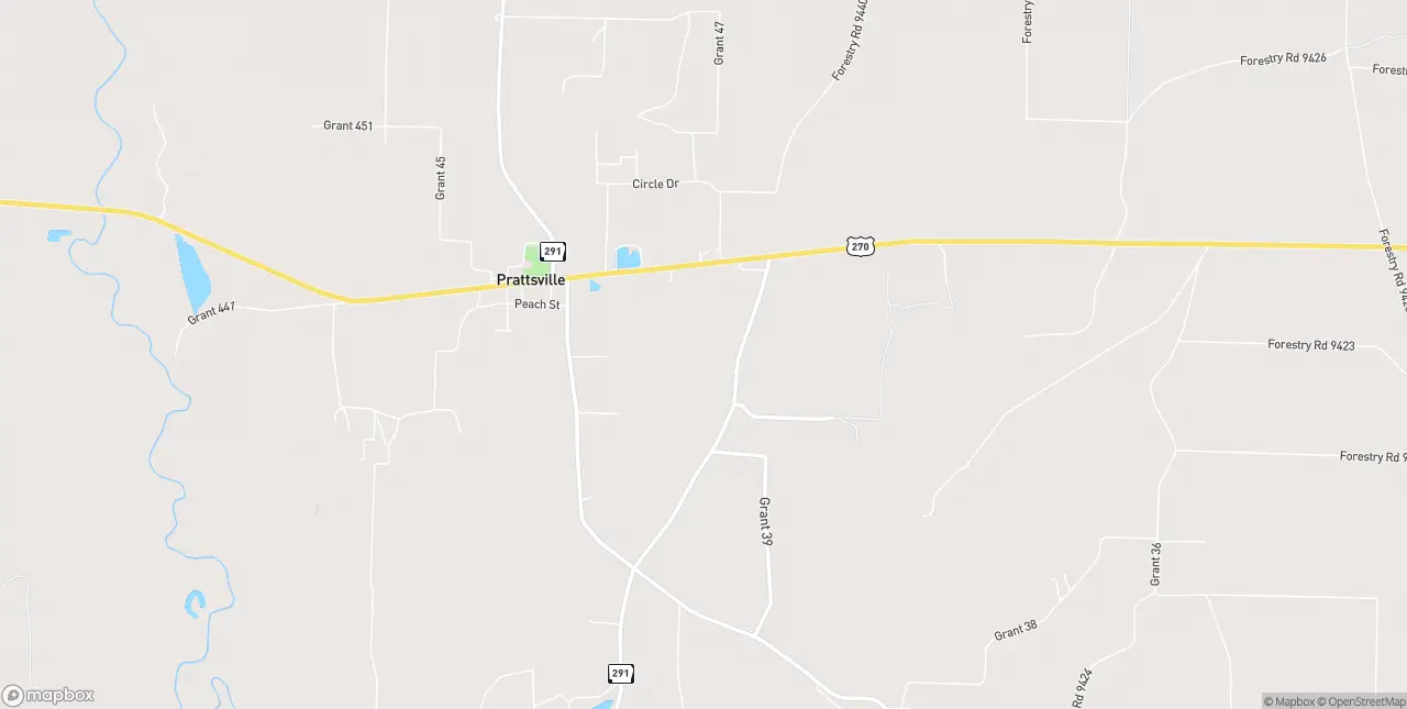 Internet in Prattsville
