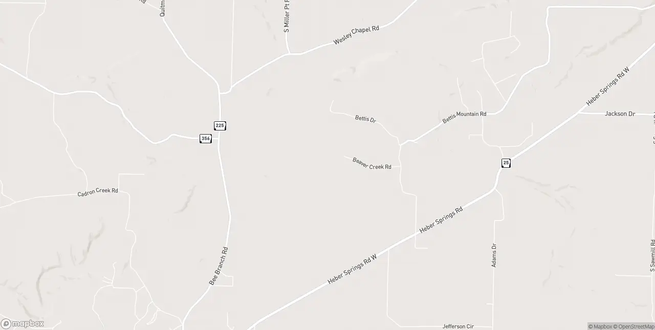 Internet in Quitman