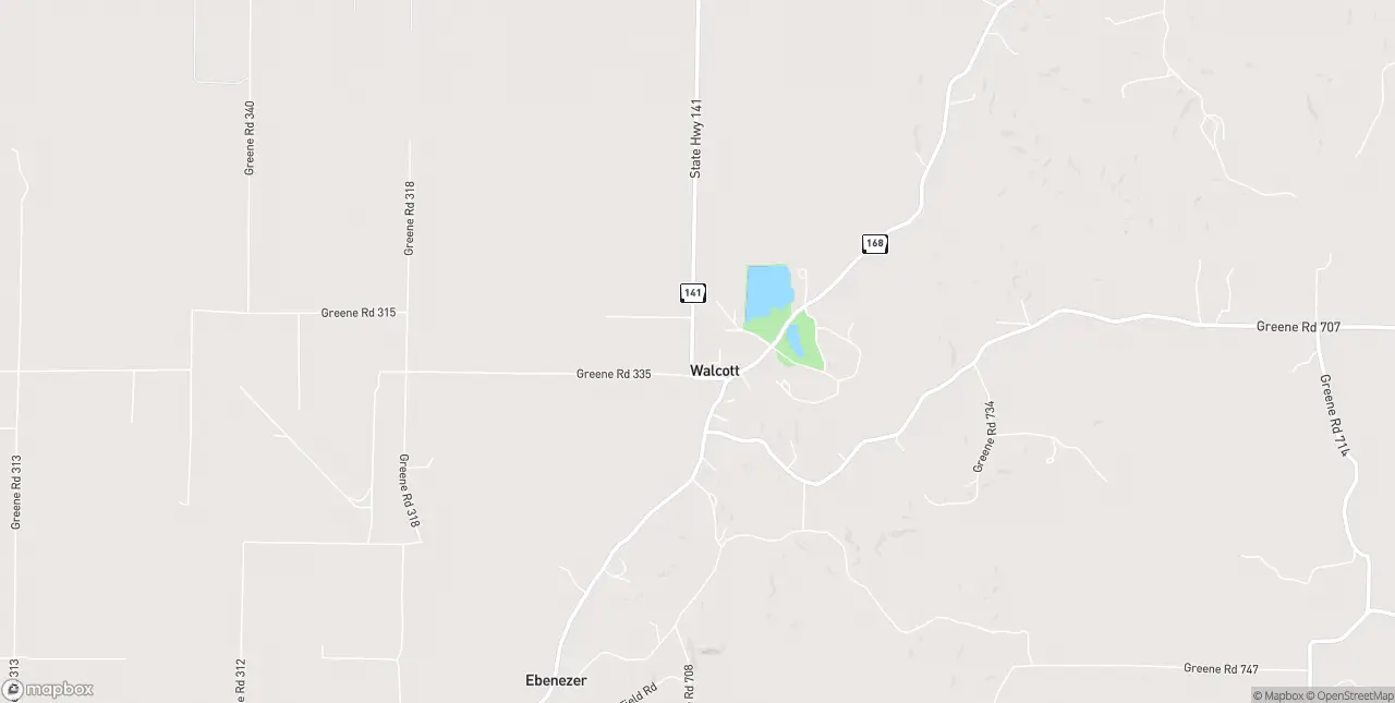 Internet in Walcott