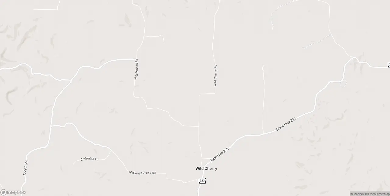 Internet in Bexar