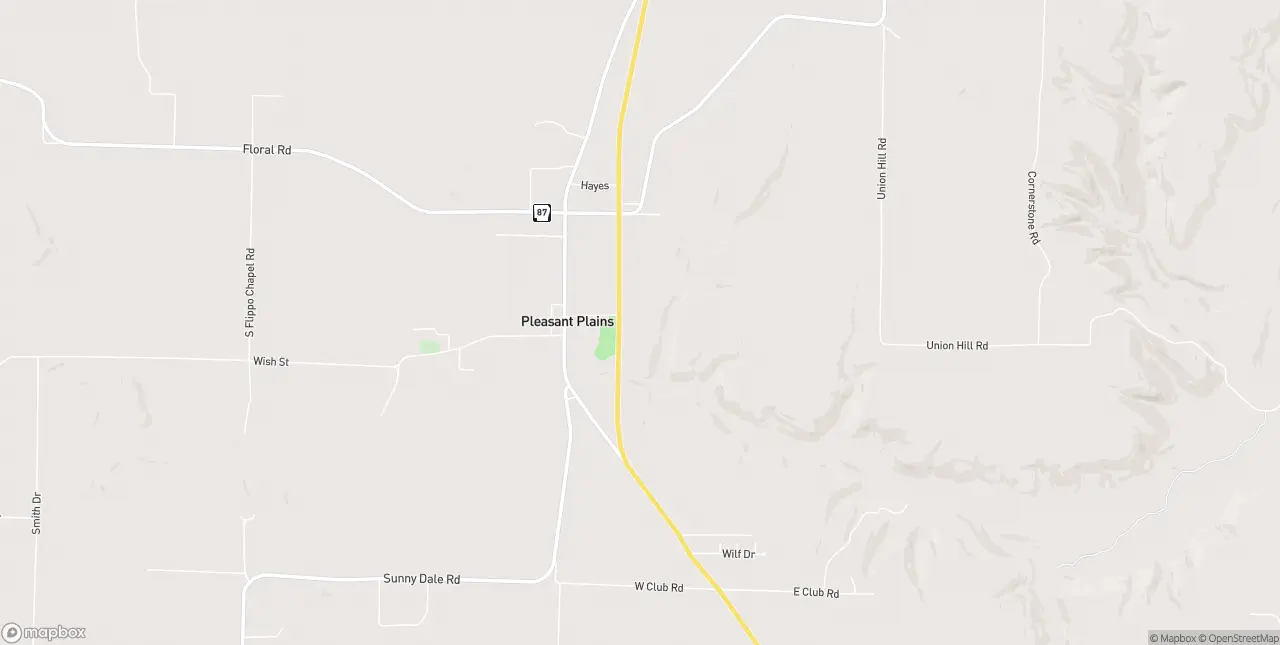 Internet in Pleasant Plains