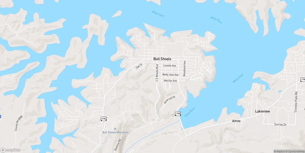 Internet in Bull Shoals