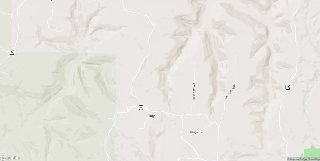 Internet in Tilly
