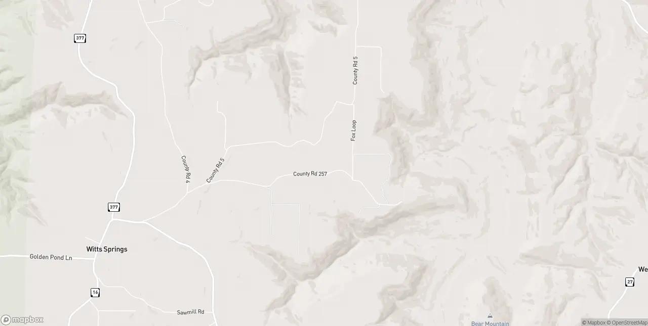 Internet in Witts Springs