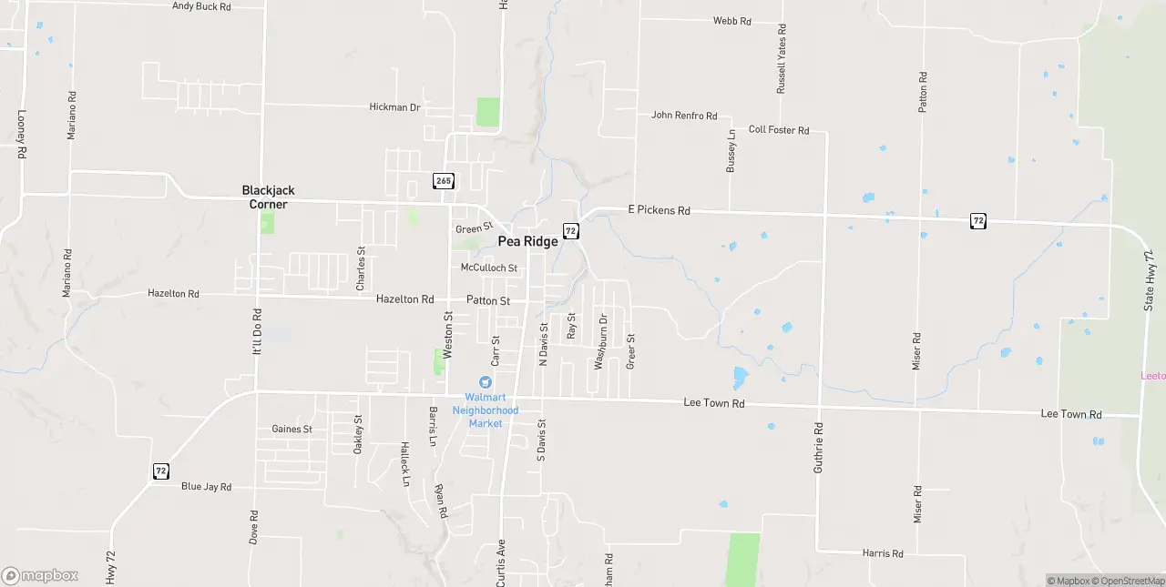 Internet in Pea Ridge