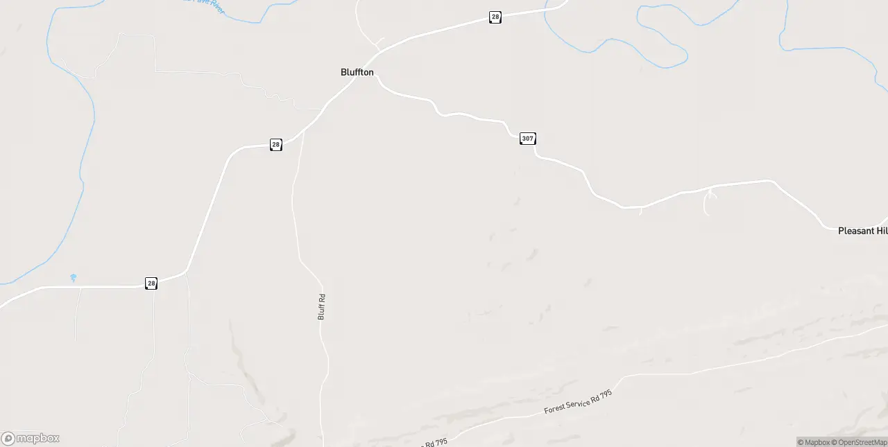 Internet in Bluffton