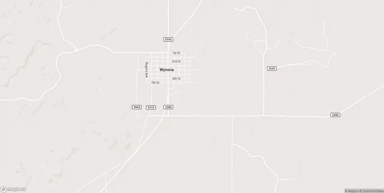 Internet in Wynona