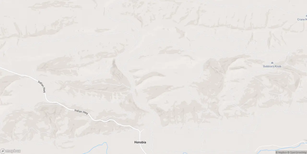 Internet in Honobia