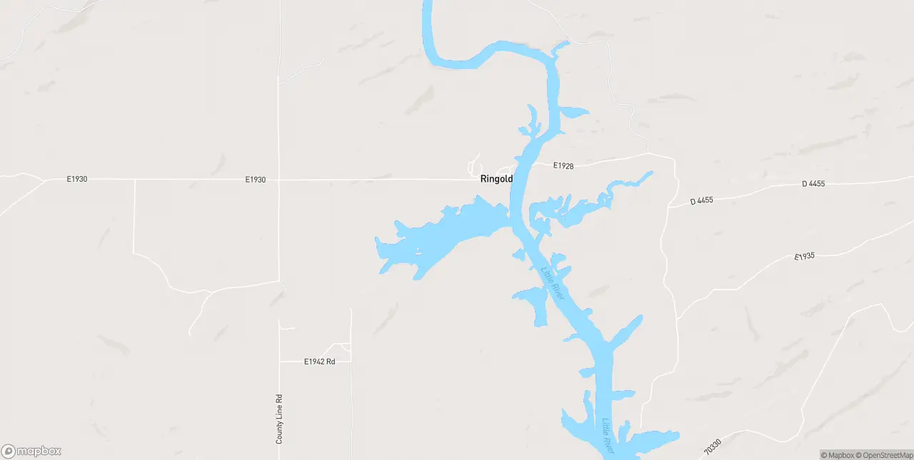 Internet in Ringold