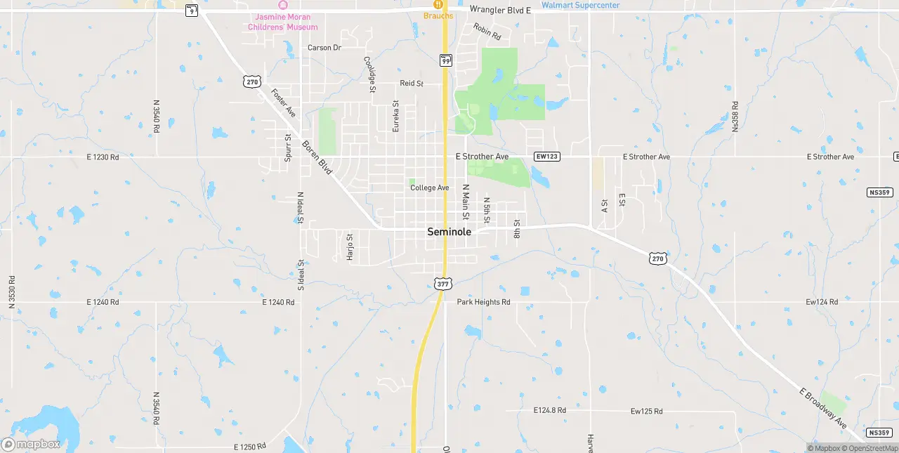 Internet in Seminole