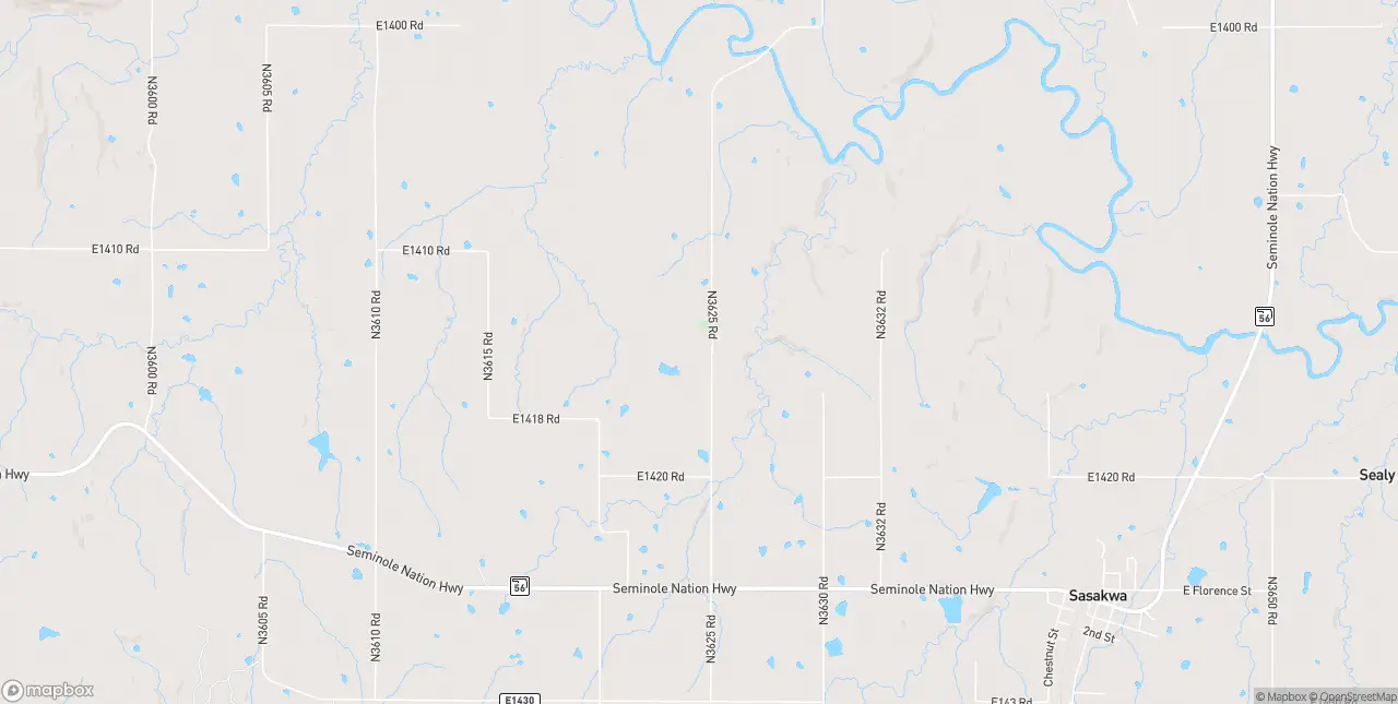 Internet in Sasakwa