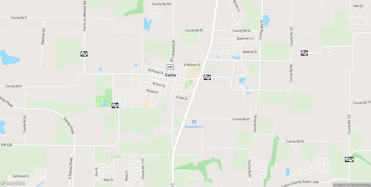 Internet in Celina