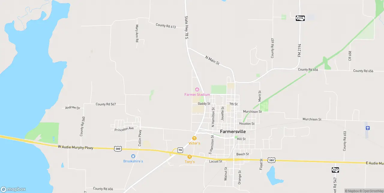 Internet in Copeville