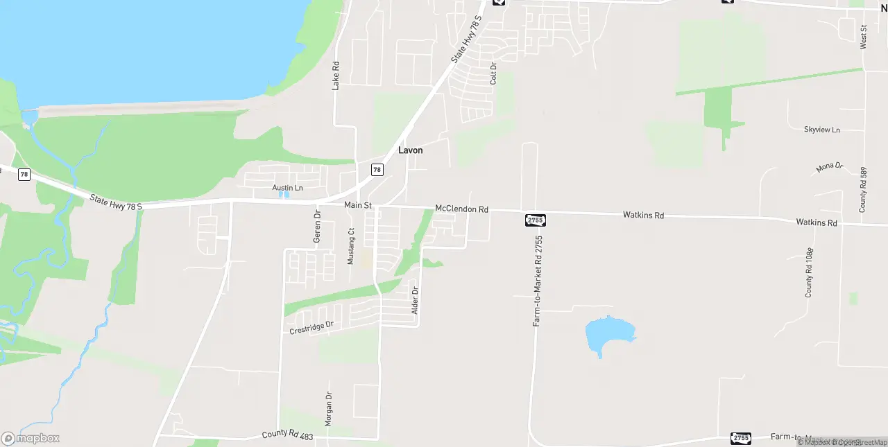Internet in Lavon