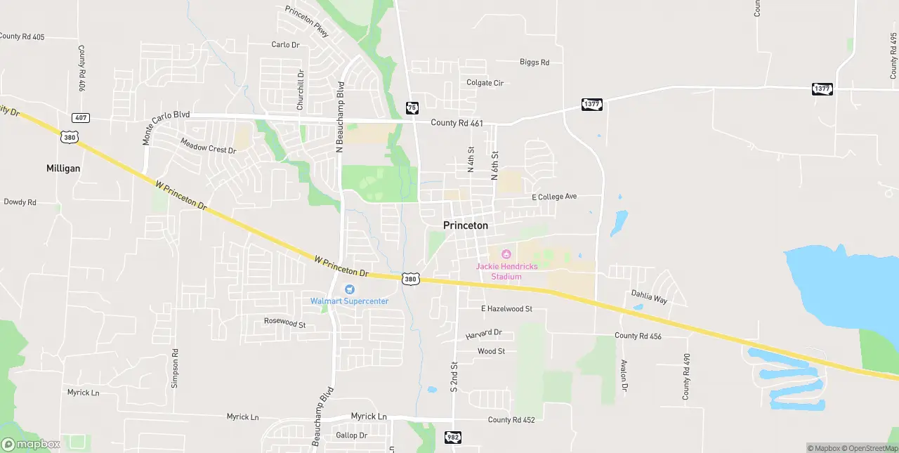 Internet in Princeton
