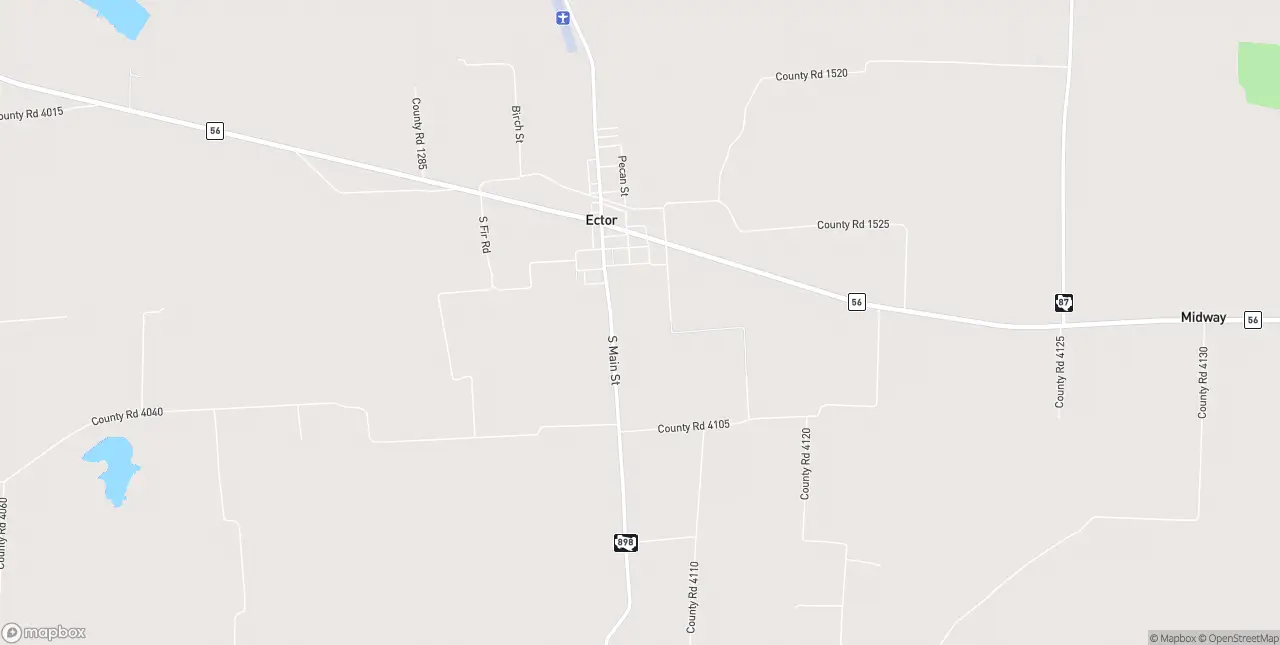 Internet in Ector