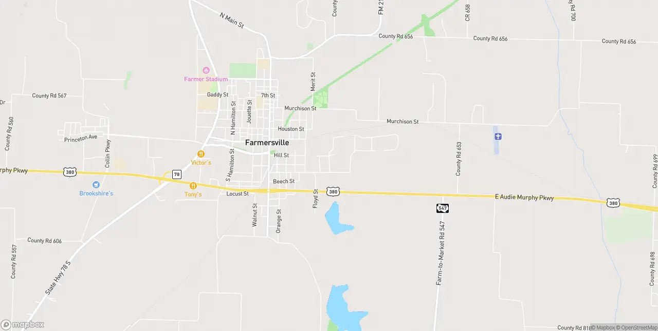 Internet in Farmersville