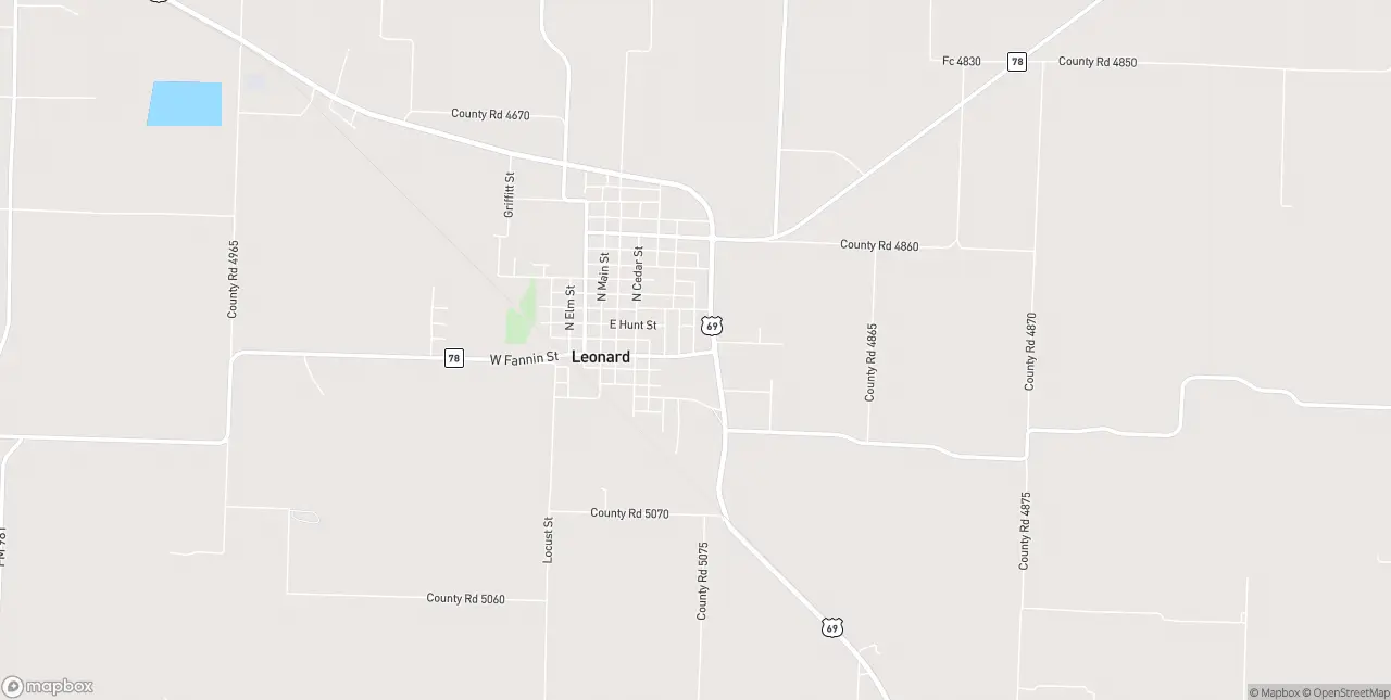 Internet in Leonard