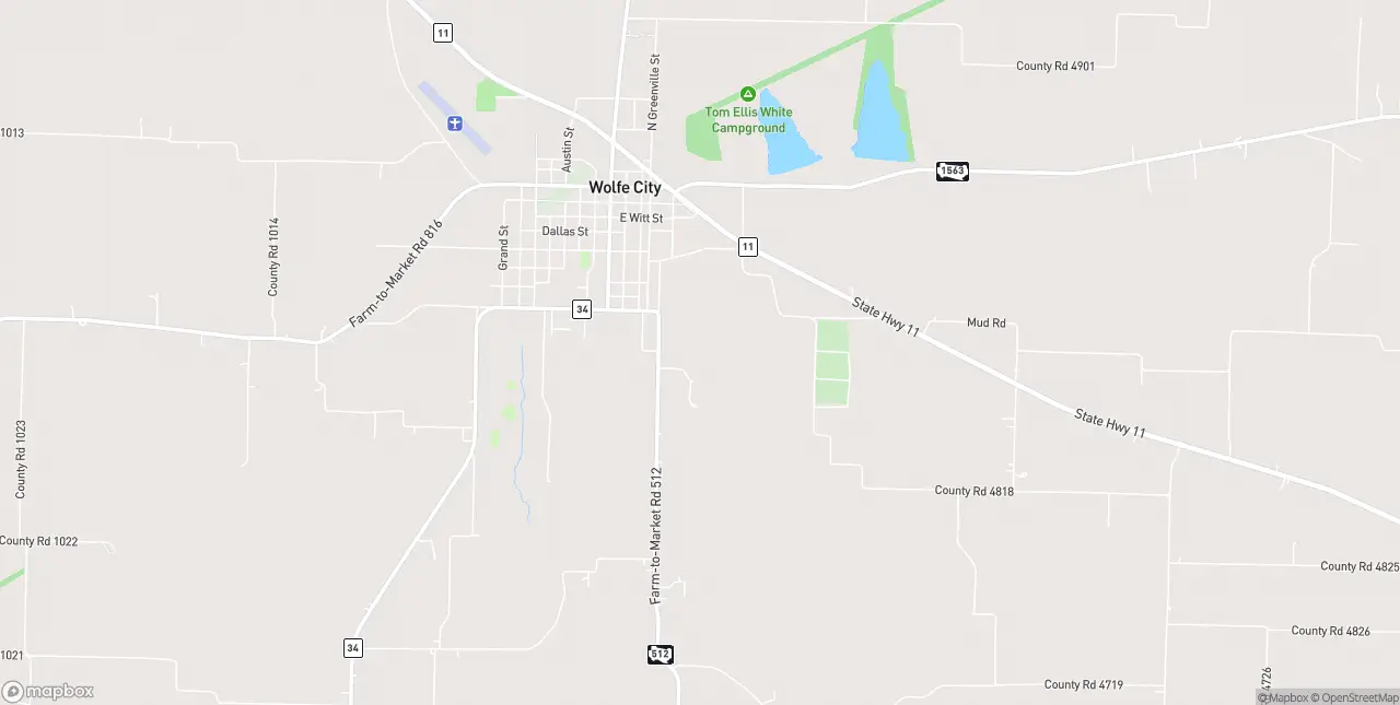 Internet in Wolfe City