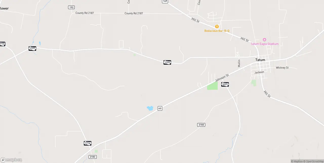 Internet in Tatum