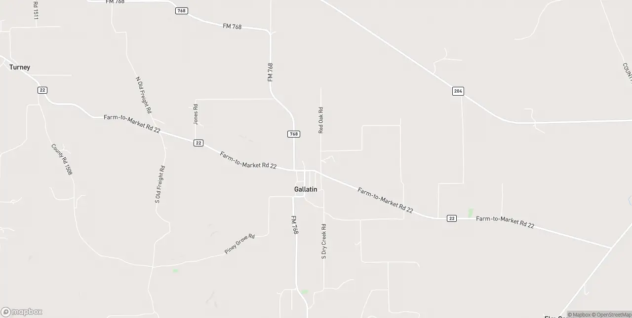 Internet in Gallatin