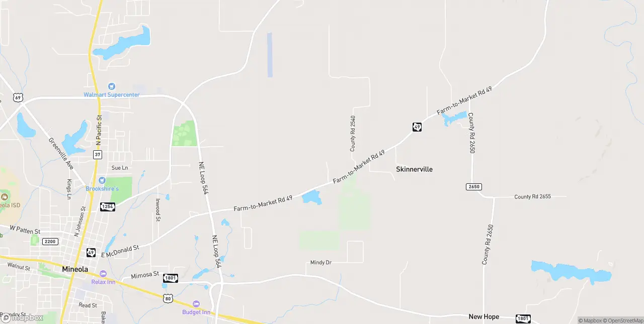 Internet in Mineola