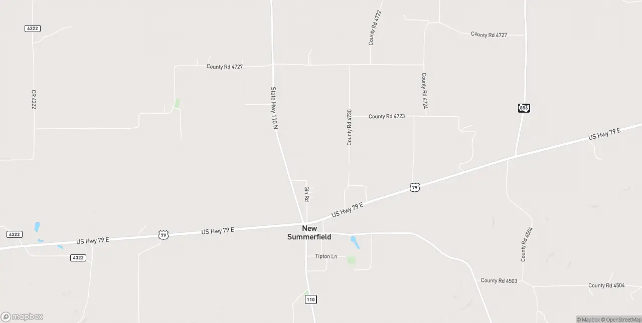 Internet in New Summerfield