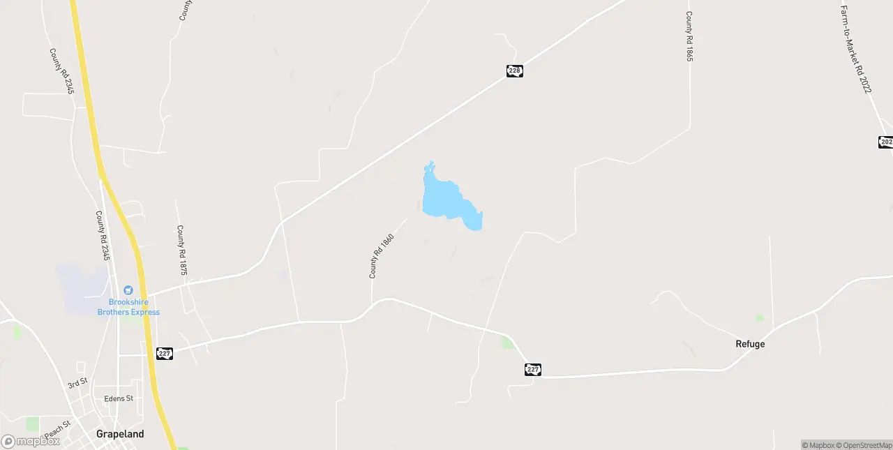 Internet in Grapeland