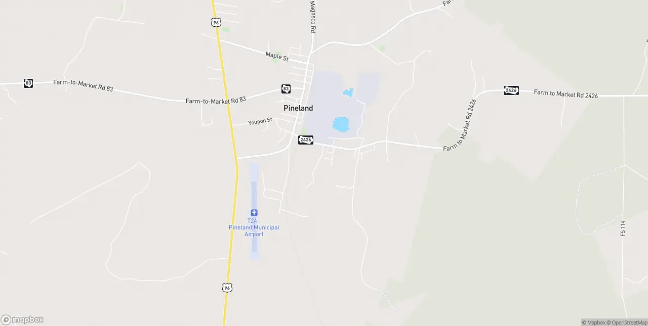 Internet in Pineland