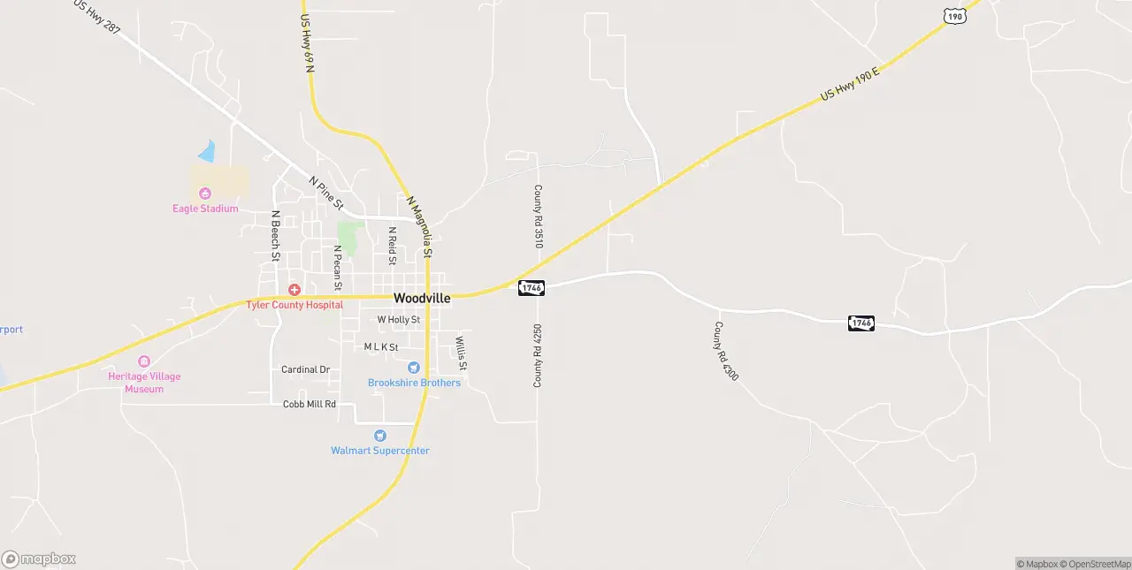Internet in Woodville