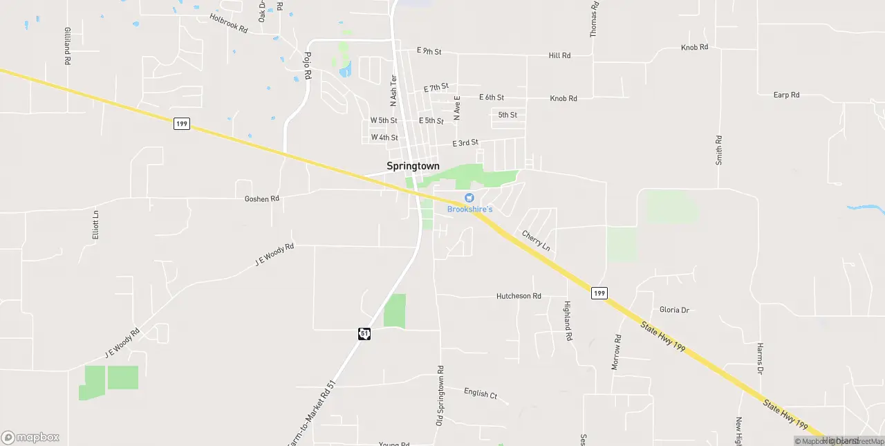 Internet in Springtown