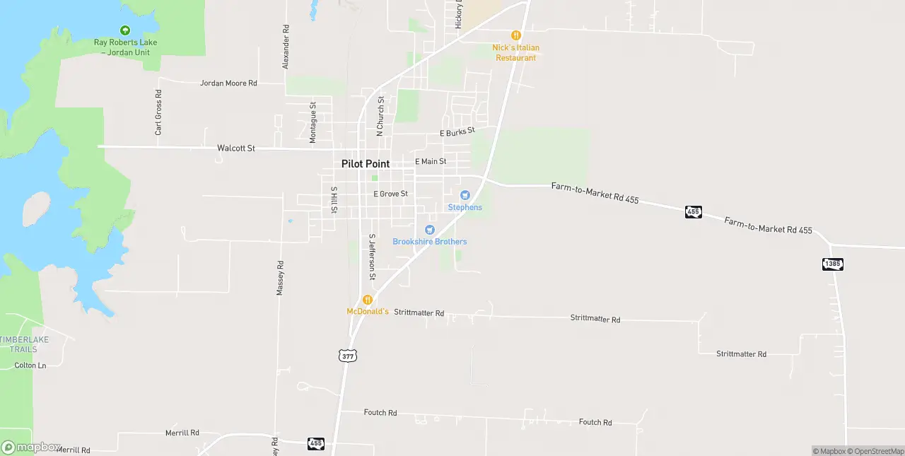 Internet in Pilot Point