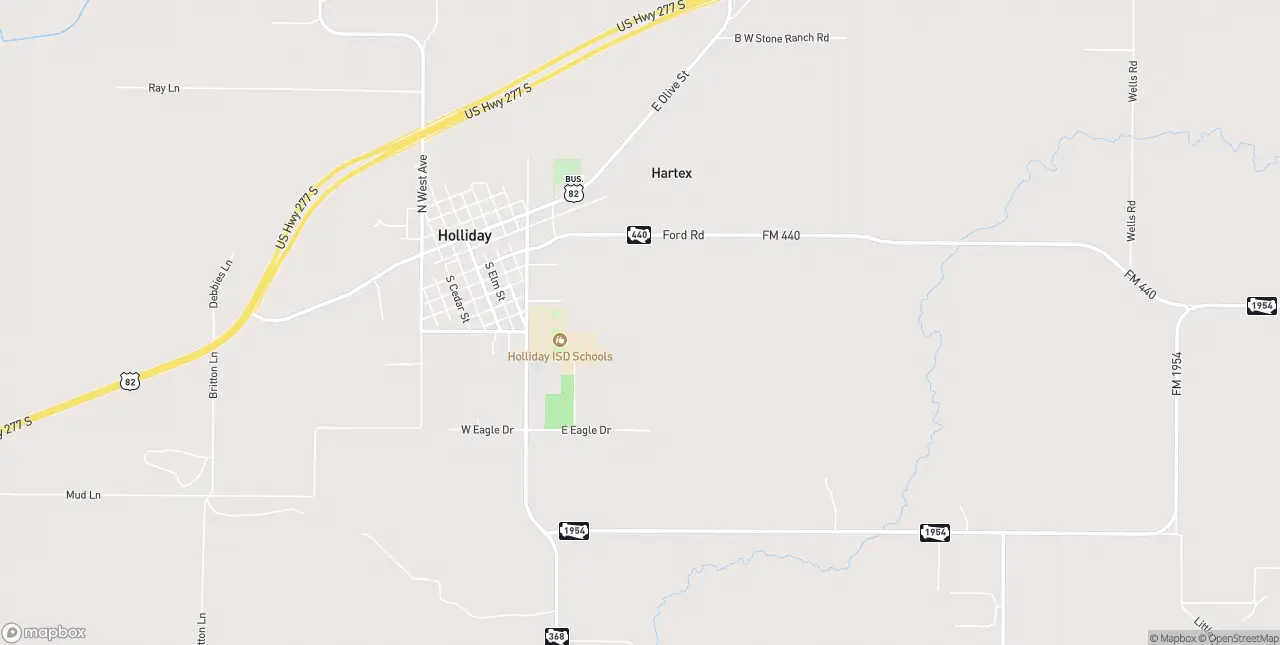 Internet in Holliday