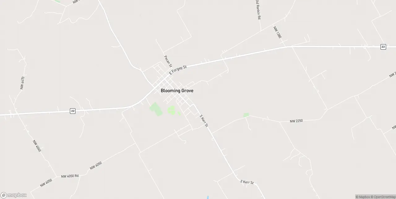 Internet in Blooming Grove