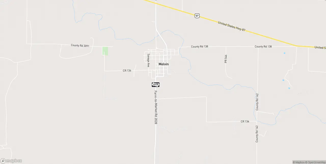 Internet in Melvin