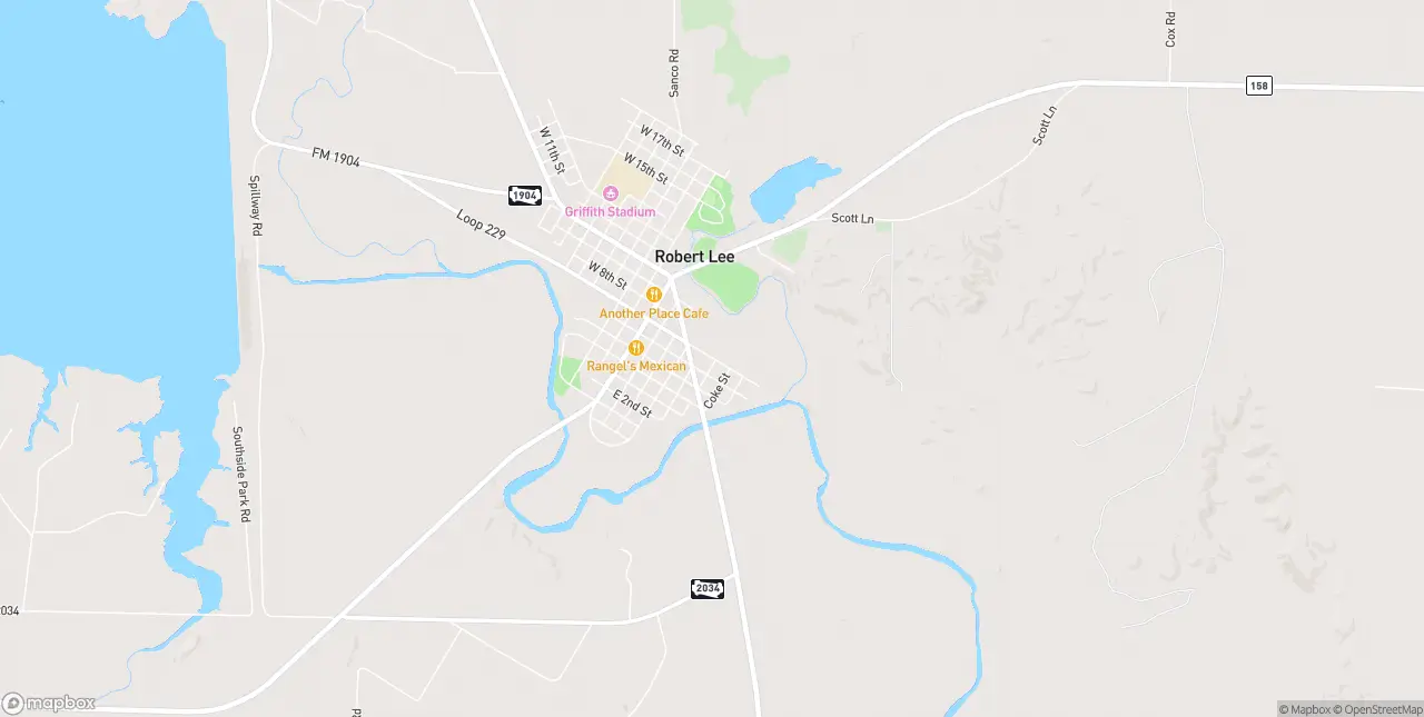 Internet in Robert Lee