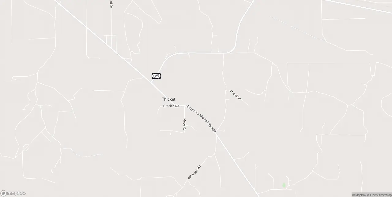 Internet in Thicket