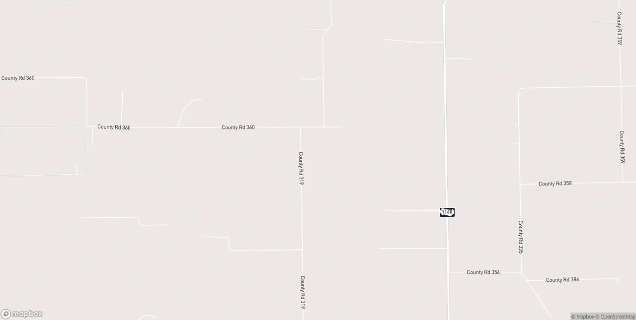 Internet in Louise