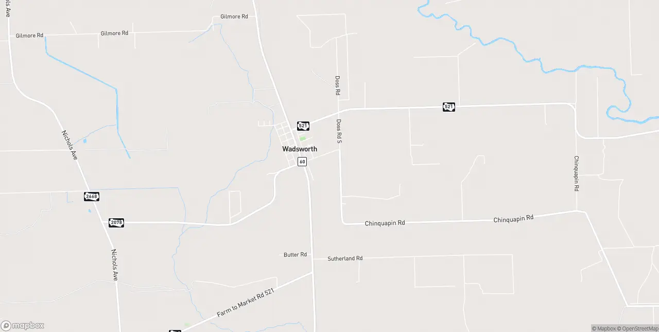 Internet in Wadsworth