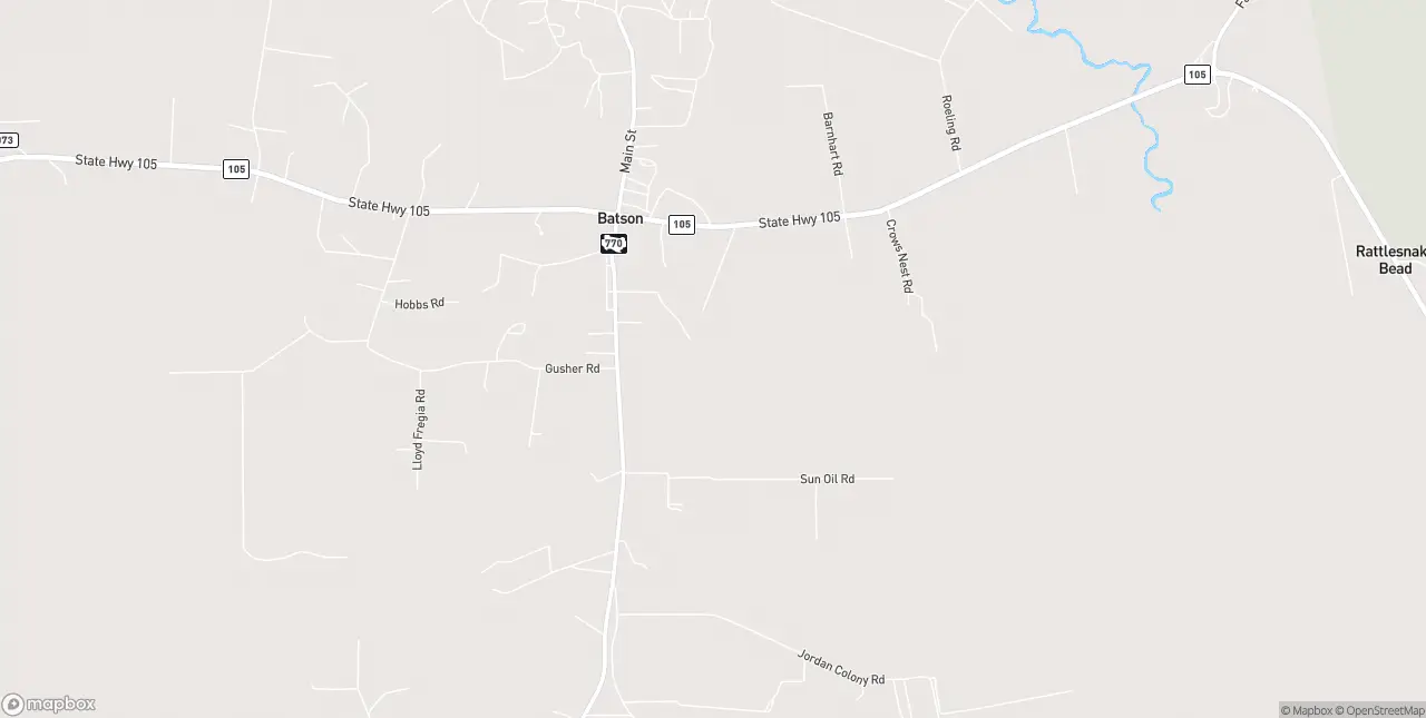 Internet in Batson