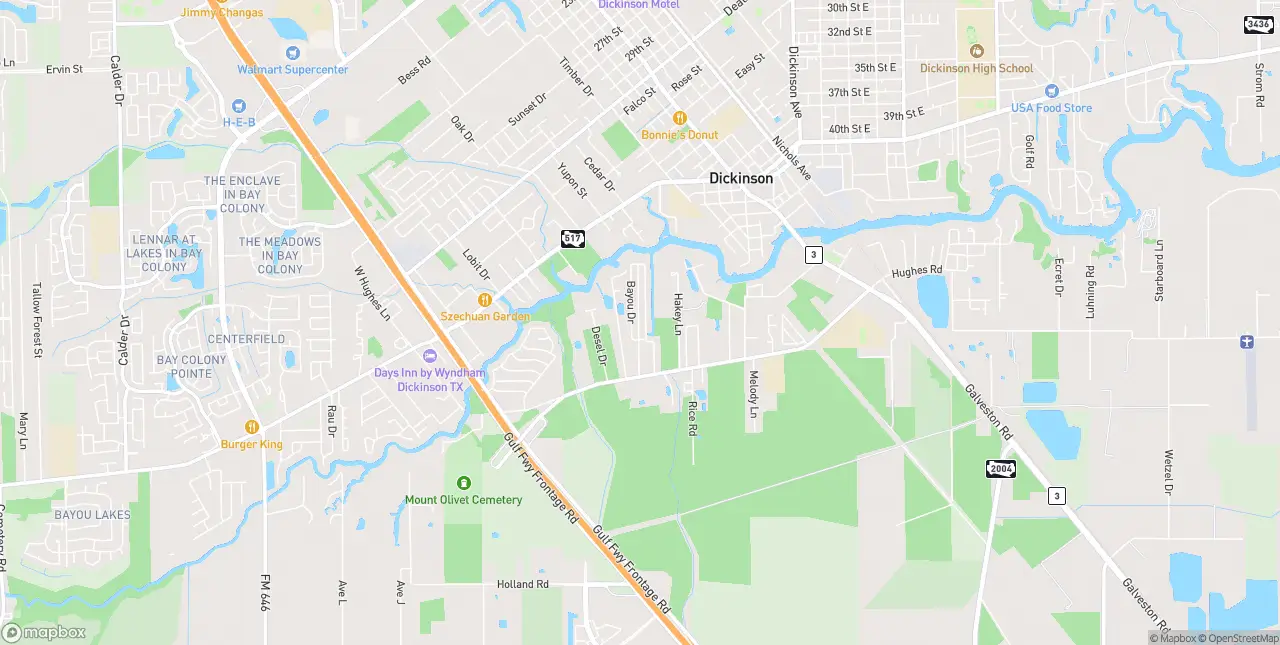 Internet in Dickinson