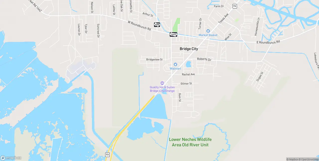 Internet in Bridge City