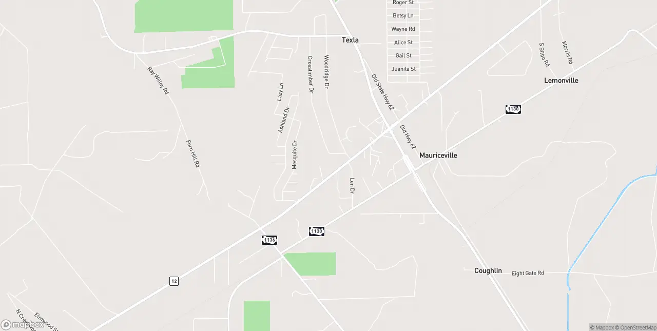Internet in Mauriceville