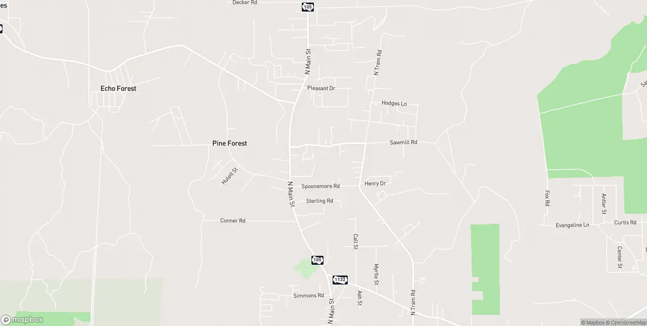 Internet in Vidor