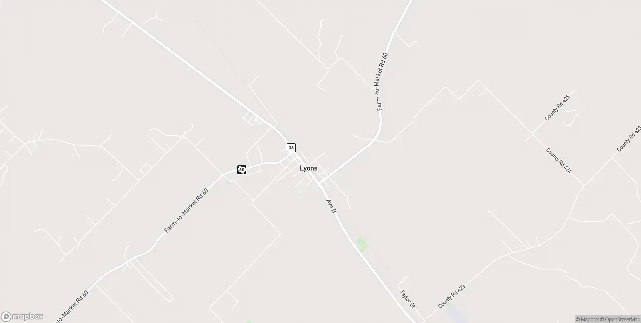 Internet in Lyons