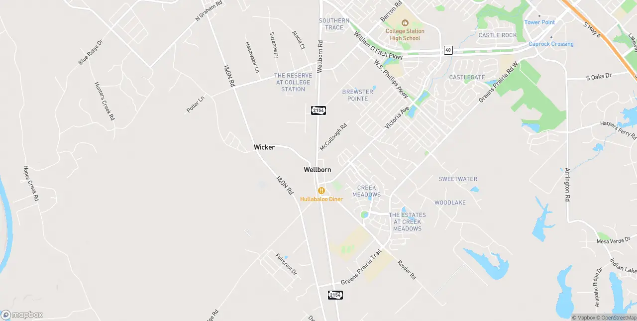 Internet in Wellborn